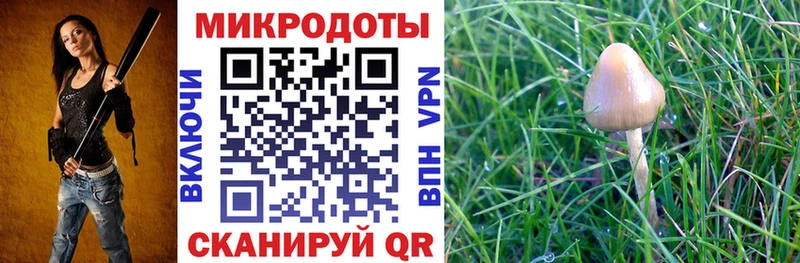 Псилоцибиновые грибы Magic Shrooms  Купить  Лукоянов 